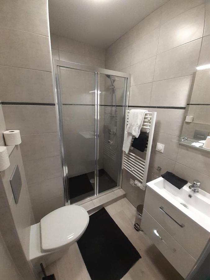 Les Appartements Du Saint Hubert Arcis-sur-Aube Екстер'єр фото