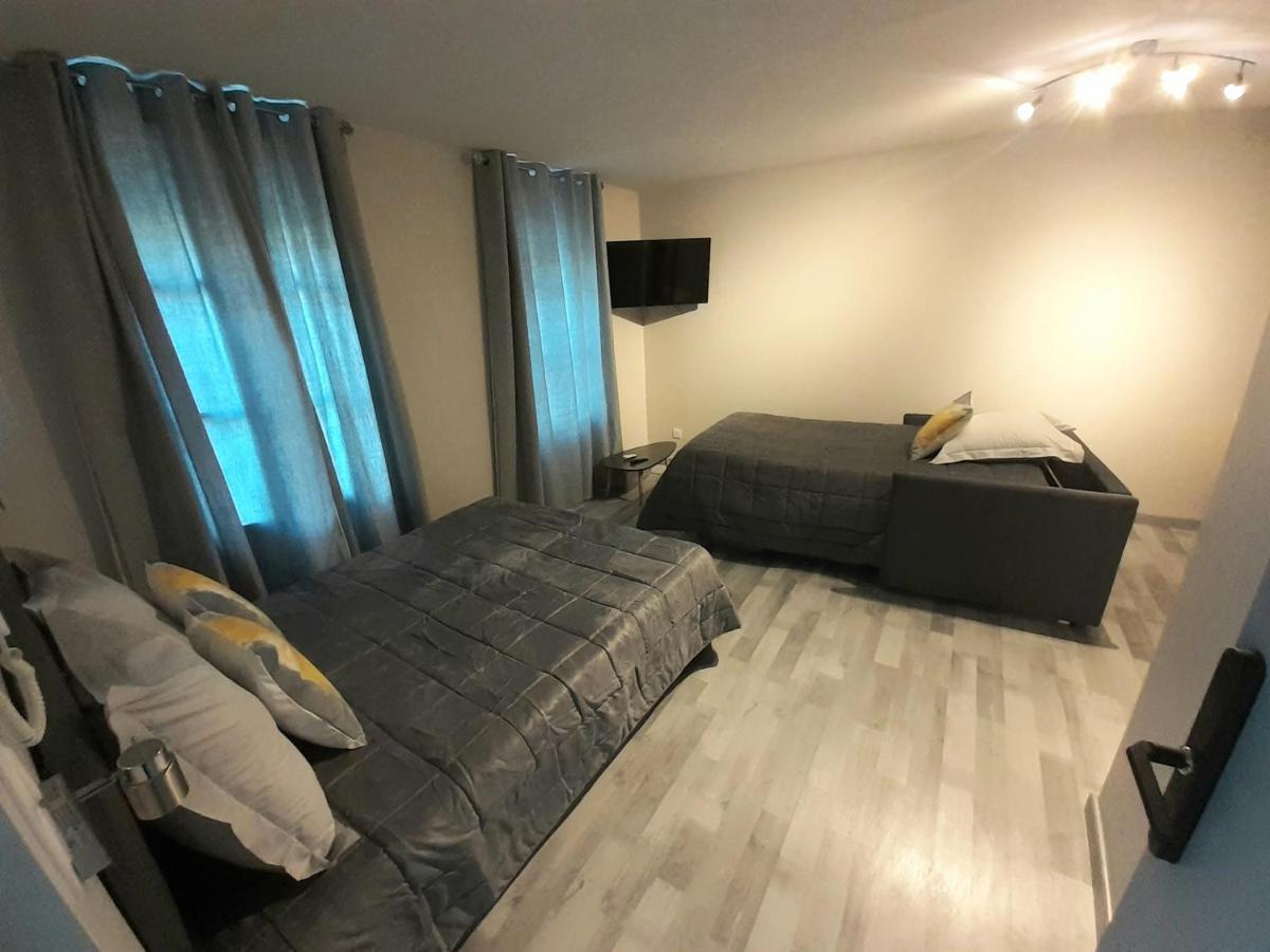 Les Appartements Du Saint Hubert Arcis-sur-Aube Екстер'єр фото
